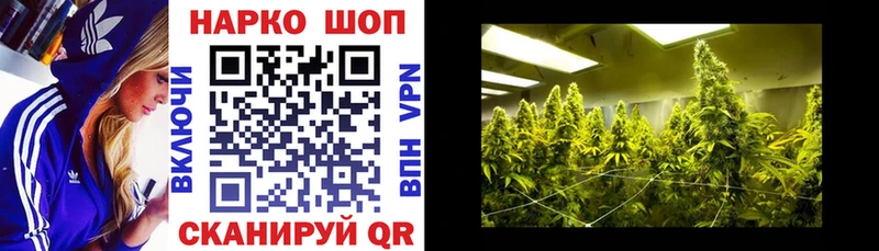Наркотические вещества Новосибирск Гашиш ТГК МЕТАДОН APVP Меф мяу мяу АМФЕТАМИН