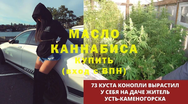 прущий лед Абаза