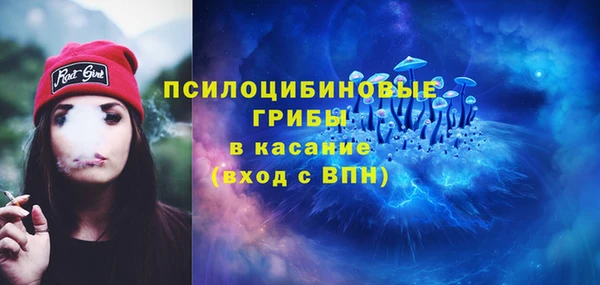 прущий лед Абаза