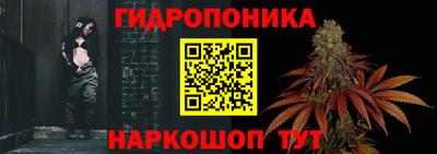 PSILOCYBIN Северобайкальск