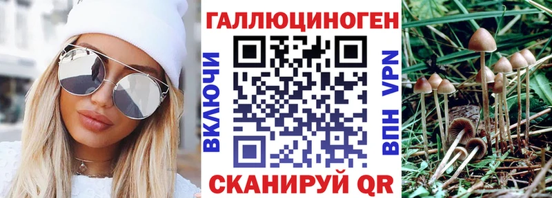 omg вход  Новосибирск  Псилоцибиновые грибы Cubensis 